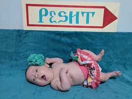 Katerina Pesht Sign 3 - Copy